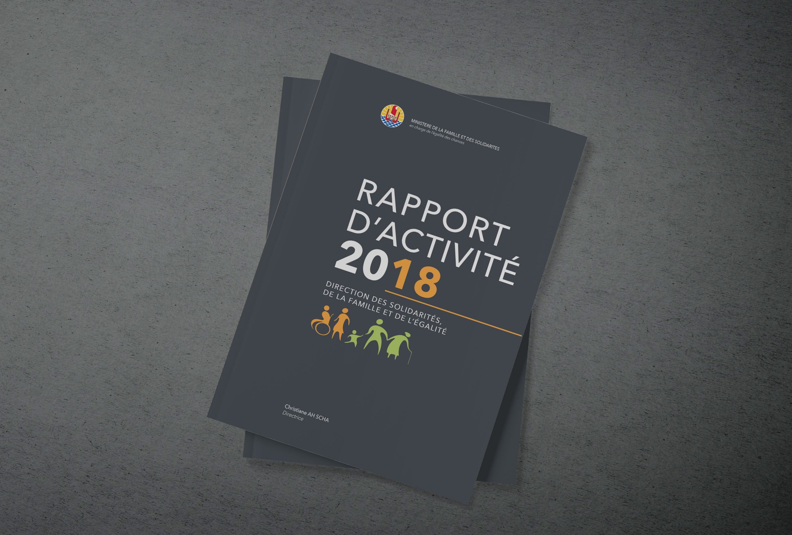 DSFE : Rapport d'activité 2018