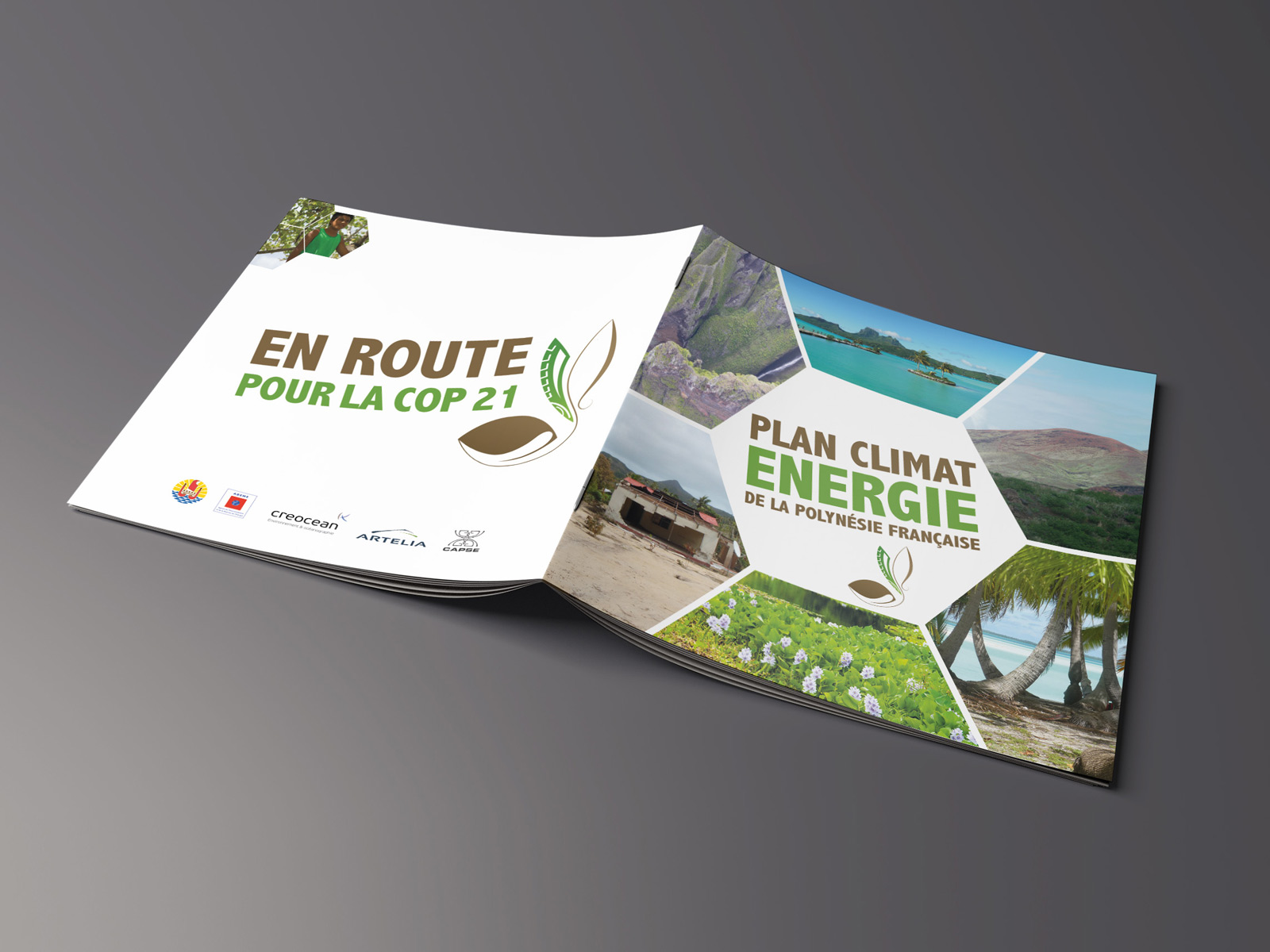 Plan climat énergie de la Polynésie Française
